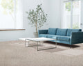 Pet-Friendly Washable Carpet – Non-Slip, Stain Resistant Rug - Together Carpet