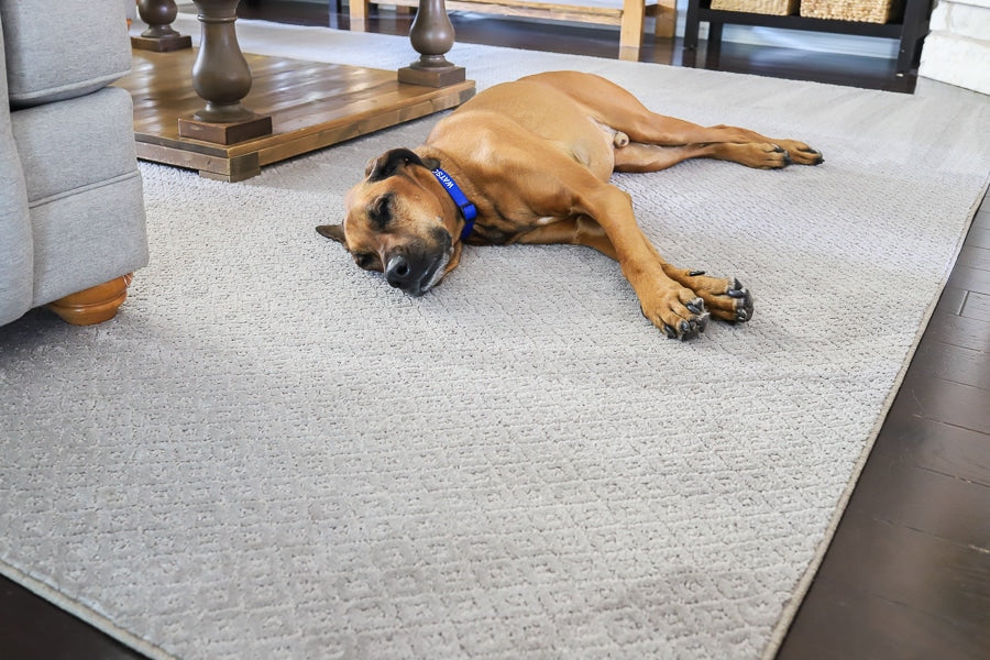 Pet Friendly Modern Carpet | Non-Shedding Low-Pile Area Rug | Stain & Pee-Resistant Washable Mat for Living Room, Bedroom, Hallway | Soft Non-Slip Floor Cover for Dogs & Cats – Grey/Beige Geometric in Multiple Sizes